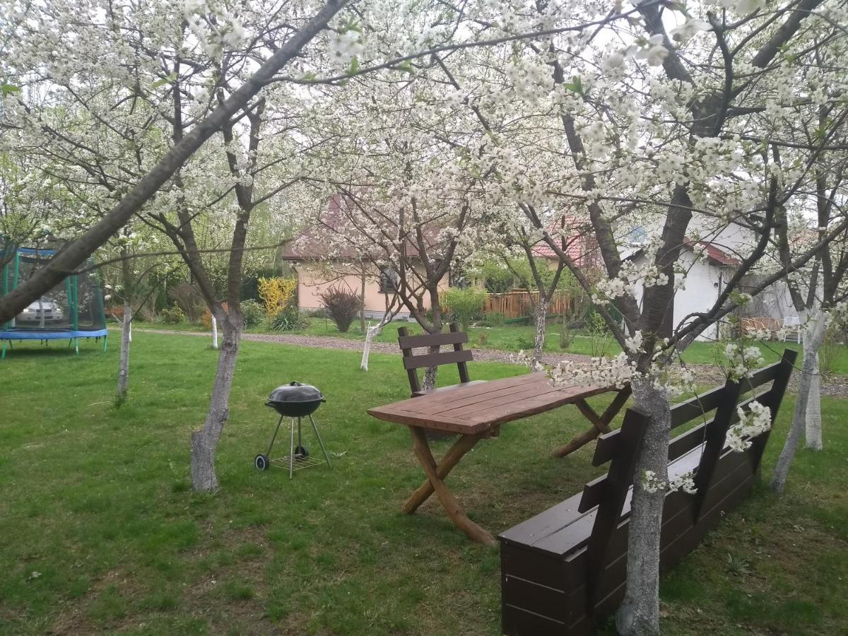 Smyrkowy Dom Z Kominkiem Z Goraca Balia Kolo Karpacza Janowice Wielkie Dış mekan fotoğraf